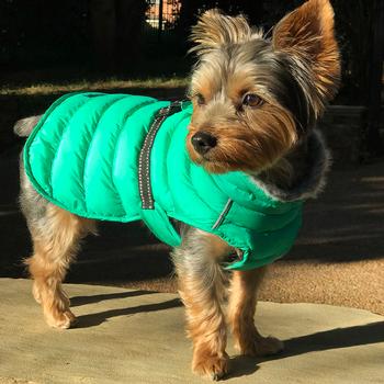 Animate Breathe Comfort Padded Green Dog Coat