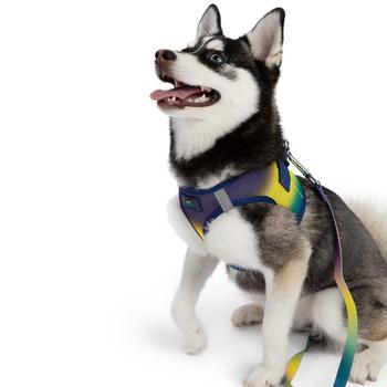 American River Choke Free Dog Harness- Ombre Cobalt Sport/XX-Small