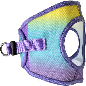 American River Choke Free Dog Harness- Ombre Cobalt Sport/XX-Small