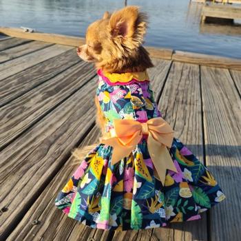 graduation graduation dresses Simple Red Off Shoulder A-line Homecoming Dresses, Graduation Dresses, MH347