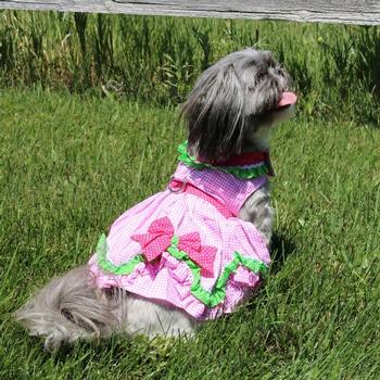 green dog dress St. Patrick's Day Dog Dress