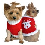 Doggie Design Dreaming Dog Pink Sweater for Dogs – Daisey's Doggie Chic