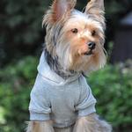 Doggie Design Weekender Dog Sweatshirt Hoodie - Light Blue(x-large